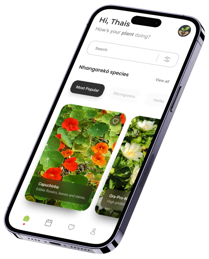 Aplicativo Nhangarekó