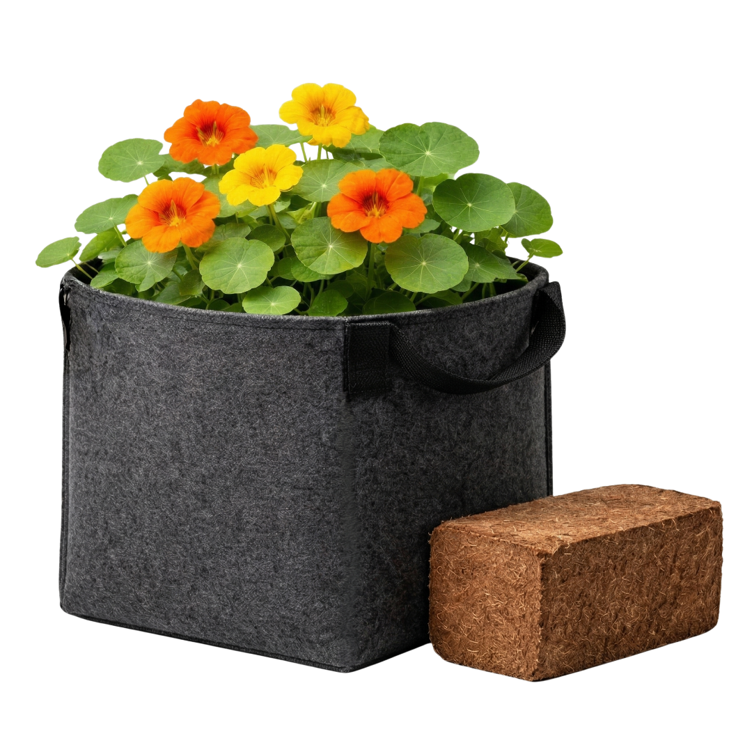 Starter Kit Nhangarekó